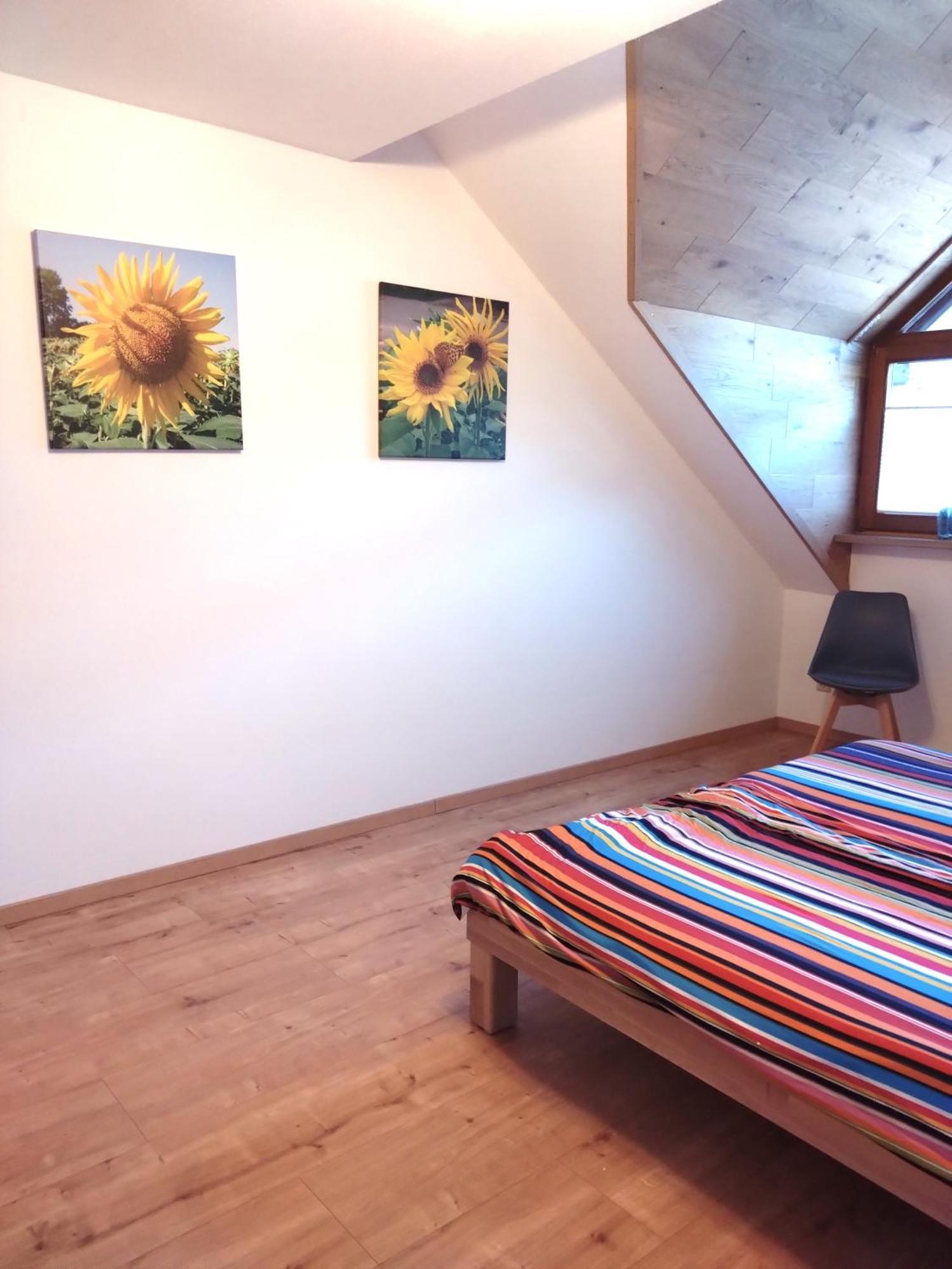 Ferienwohnung Veldenz ภายนอก รูปภาพ